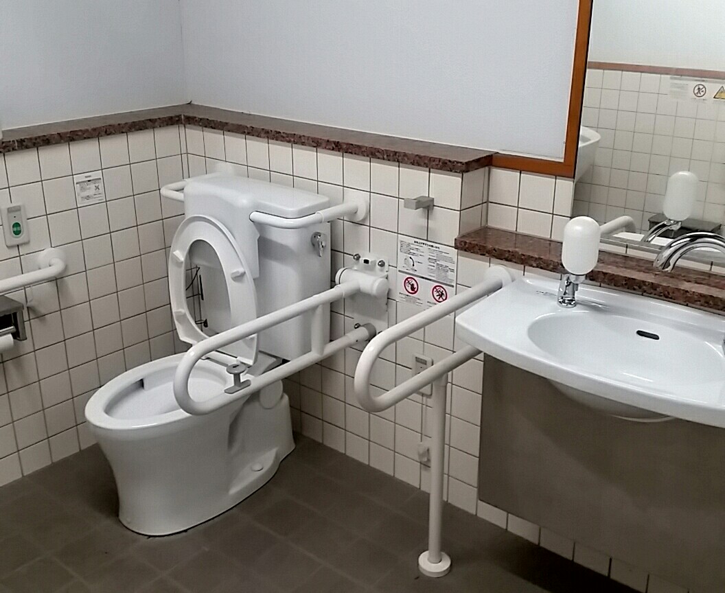 公衆トイレ掃除 佐賀城公園 自分磨き 佐賀県佐賀市で注文住宅なら弟子丸建設へお任せください。
